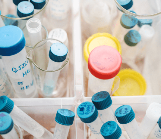 Can Labs Tell The Difference Between Real and Synthetic urine?
