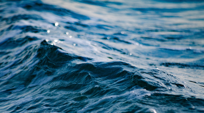 How construction affects water quality?